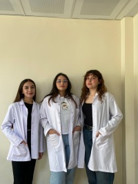 TÜBİTAK 2209-A projeleri