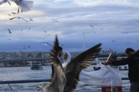 Öğrencimizden Gurur Veren Başarı: ‘Ara Güler Özendirme Ödülü’